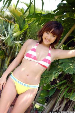 小鱼儿与花无缺 电视剧